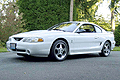 Dave McDonald's 97 SVT Cobra