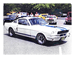 1st Shelby club meeting, 6S865. June 2, 1974